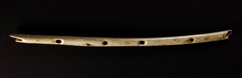 this bone flute found in a cave in Germany is believed to be at least 42,000 years old ~photo credit: Jensen/University of Tubingen